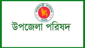 উপজেলা নির্বাচন: প্রার্থী হচ্ছেন বিএনপি-জামায়াতের প্রাথিরাও