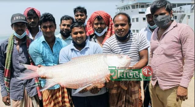 এক কাতলের দাম ৪৮ হাজার টাকা