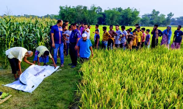 ফসলি মাঠে পড়েছিল গলিত লাশের বিচ্ছিন্ন কঙ্কাল, টেনে নিয়ে যাচ্ছিল কুকুর!