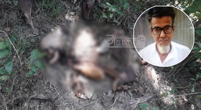 নিখোঁজের ৪৭ দিন পর তিতাসে বৃদ্ধের কঙ্কাল উদ্ধার