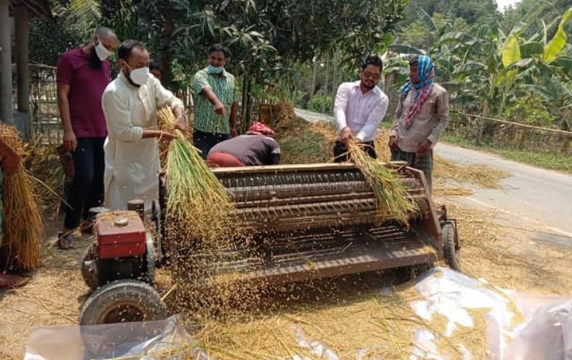 লালপুরে বোরো ধান কাটার উদ্বোধন