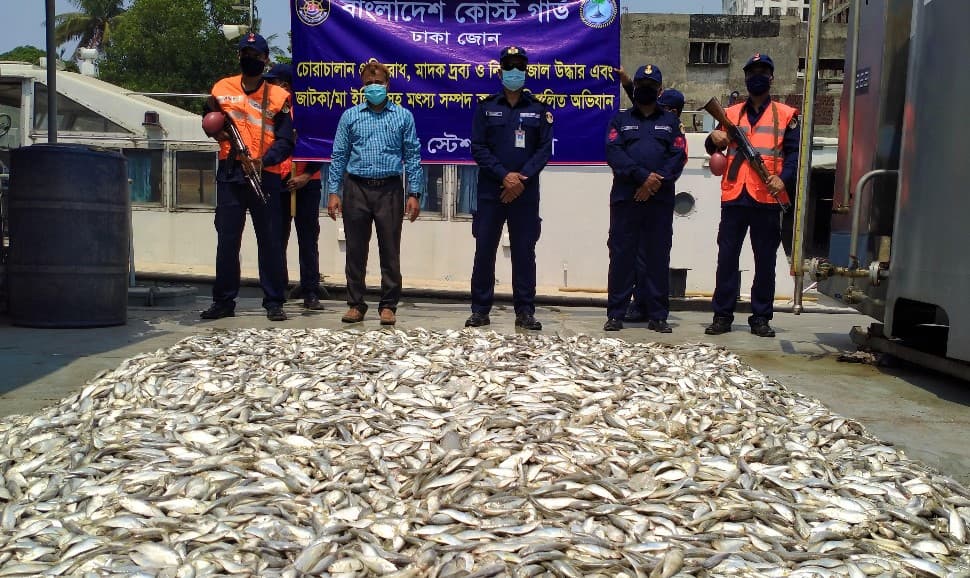 পুরান ঢাকায় মাছের আড়ৎ থেকে ১৪শ কেজি জাটকা জব্দ