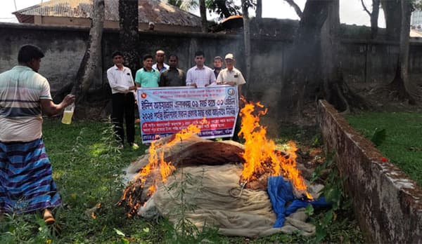 হিজলায় যৌথ অভিযানে আটক ১০ জেলে, জরিমানা
