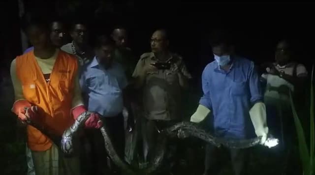 ২৫ কেজি ওজনের আজগর সাপ উদ্ধার