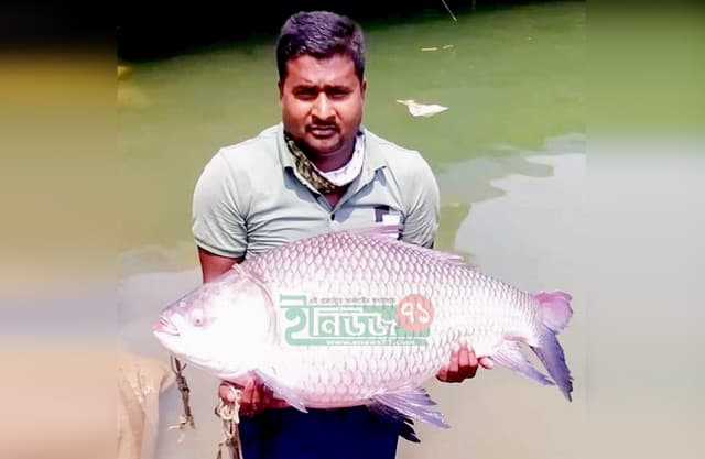 পদ্মার এক কাতলের দাম সাড়ে ২৮ হাজার টাকা