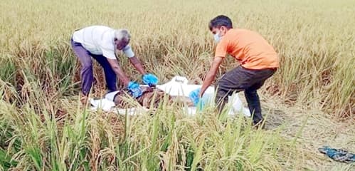 নিখোঁজের ১৪ দিন পর গৃহবধূর লাশ উদ্ধার