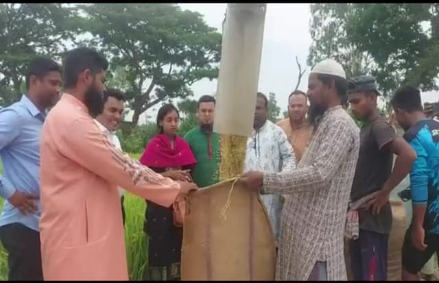 হিলিতে কম্বাইন হার্ভেষ্টার যন্ত্র দিয়ে ইরি-বোরো ধান কাটার উদ্বোধন