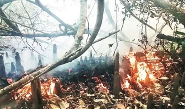 যৌথ প্রচেষ্টায় ৩০ ঘণ্টা পর সুন্দরবনের আগুন নিয়ন্ত্রণে