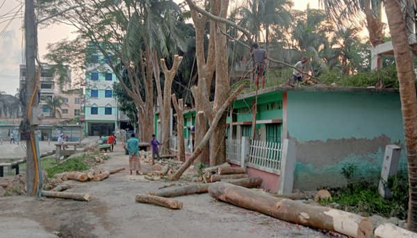 কুয়াকাটায় স্কুলের গাছ কাটার ঘটনায় তদন্ত কমিটি গঠন
