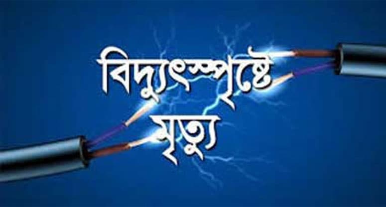 চলন্ত ভ্যানে বিদ‍্যুতের তার পড়ে বিদ্যুৎস্পৃষ্ট হয়ে ২ জনের মৃত্যু