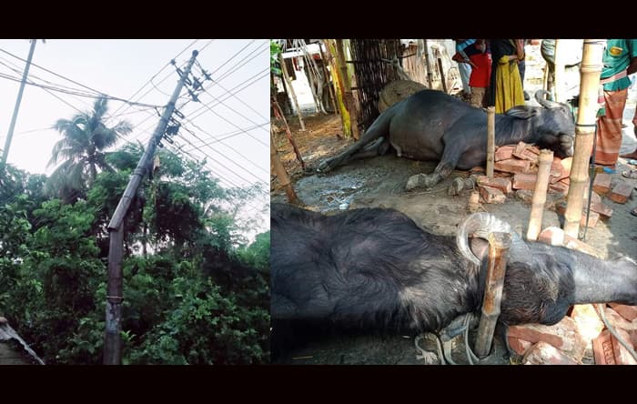 ঝিনাইদহে কালবৈশাখী ঝড়ের ১০ মিনিটের তাণ্ডব