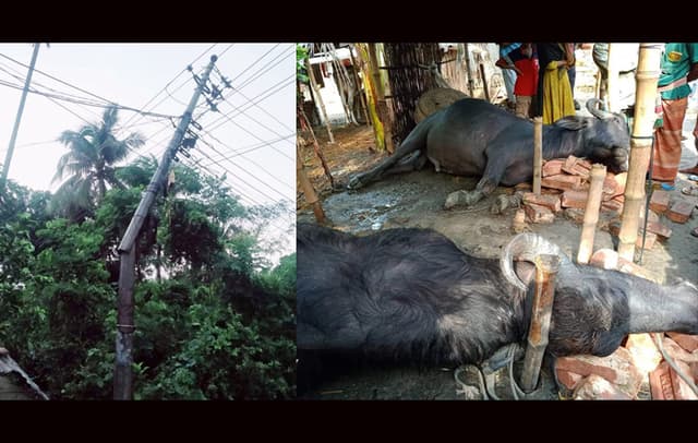 ঝিনাইদহে কালবৈশাখী ঝড়ের ১০ মিনিটের তাণ্ডব