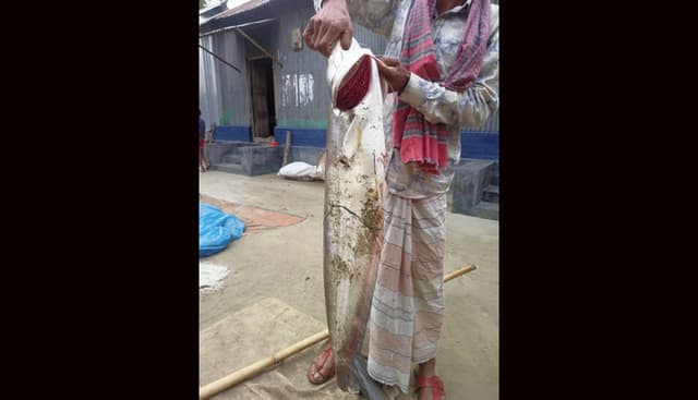 ঘোলা পানিতে মাছ শিকারের আনন্দ