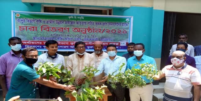 ভূরুঙ্গামারীতে বিনামূল্যে ৫ হাজার ফলজ ও বনজ চারা বিতরণ