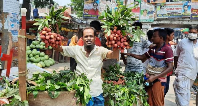 উল্লাপাড়ার বাজারে এসেছে লিচু, দাম চড়া