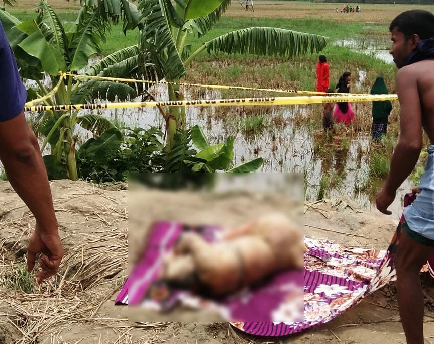 বরিশালে ধানক্ষেত থেকে কলেজছাত্রীর লাশ উদ্ধার