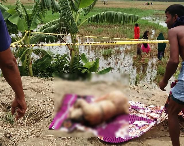 বরিশালে ধানক্ষেত থেকে কলেজছাত্রীর লাশ উদ্ধার
