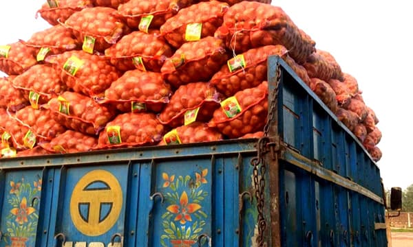 আবারও ভারত থেকে আলু আমদানি শুরু