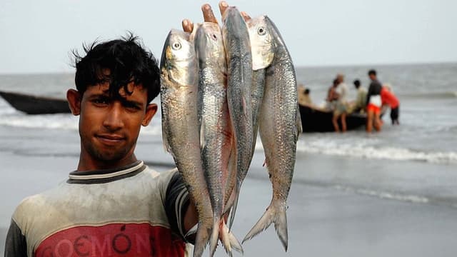 ইলিশের কেজি ২০০ টাকা!