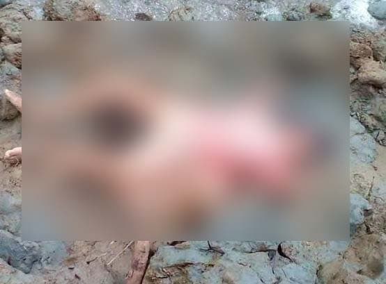 টেকনাফে আরো এক রোহিঙ্গা কন্যা শিশুর লাশ উদ্ধার