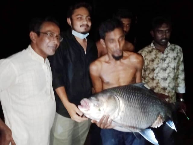 বরিশালে ৮ ঘন্টা চেষ্টার পর বড়শির মাছ তীরে !