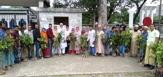 দেবীদ্বারে ইউনিয়ন ভিত্তিক বৃক্ষরোপণ কর্মসূচি অব্যাহত