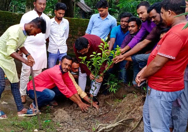 মহিপর থানা যুবলীগের বৃক্ষরোপণ