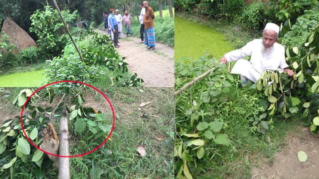 এ কেমন নিষ্ঠুরতা ! কাঁদছেন বৃদ্ধ