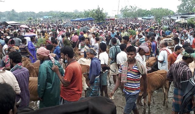 কুষ্টিয়ায় পশুর হাটে উপেক্ষিত স্বাস্থ্যবিধি