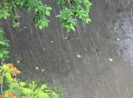 বৃষ্টির সময় রাসুল (সা.) যেসব আমল করতেন