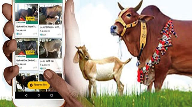 অনলাইনে পশু কিনে পছন্দ না হলে ফেরত পাবেন টাকা