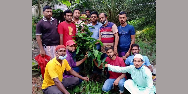 মহিপুর যুবলীগের বৃক্ষ রোপণ কর্মসূচী