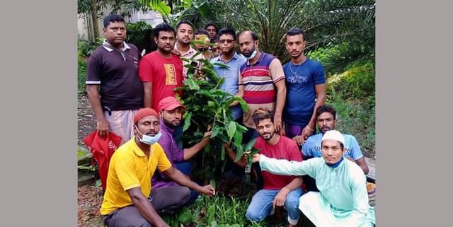মহিপুর যুবলীগের বৃক্ষ রোপণ কর্মসূচী