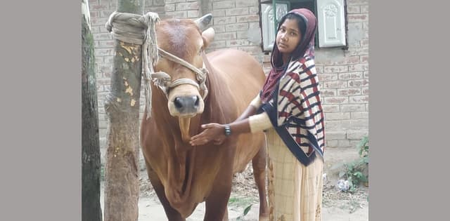 লকডাউন: কি যে হবে বুঝবার পারিচ্ছিনা বা"