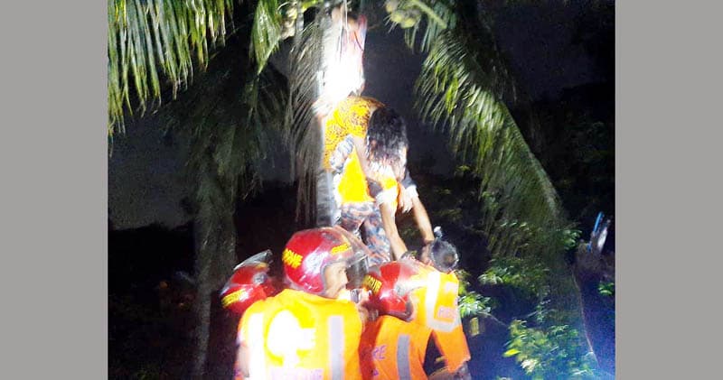 নারিকেল গাছে নারী, উদ্ধারে ফায়ার সার্ভিস