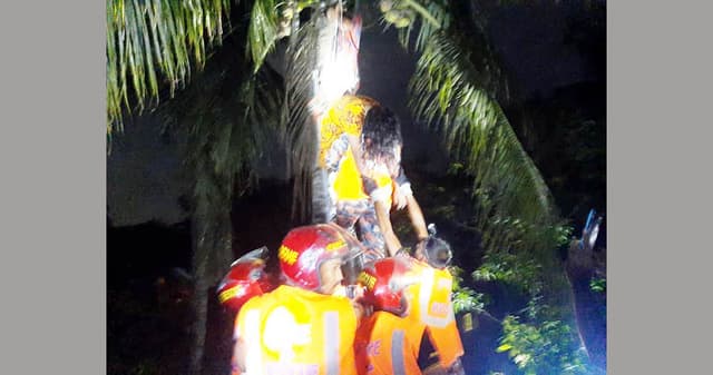 নারিকেল গাছে নারী, উদ্ধারে ফায়ার সার্ভিস