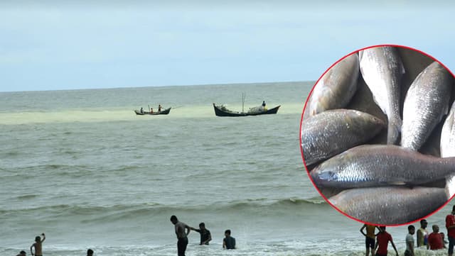 নিষেধাজ্ঞা উপেক্ষিত, সমুদ্রে চলছে মাছধরার উৎসব