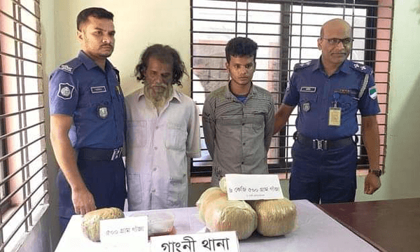 মেহেরপুরে ৭ কেজি গাঁজাসহ দুই মাদক কারবারী আটক