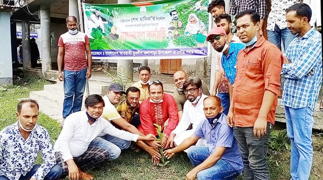 কলাপাড়ায় যুবলীগের দেড় হাজার গাছের চারা রোপন