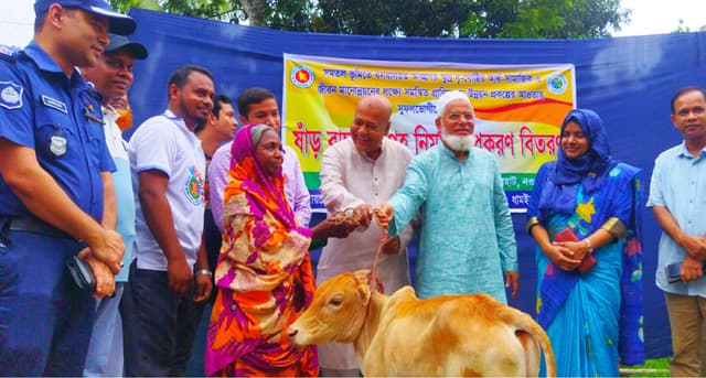 ধামইরহাটে ক্ষুদ্র নৃ-গোষ্ঠির মাঝে ষাঁড় বাছুর বিতরণ