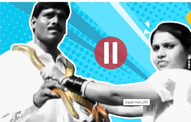 বিয়েতে এবার বরের গলায় সাপের মালা!