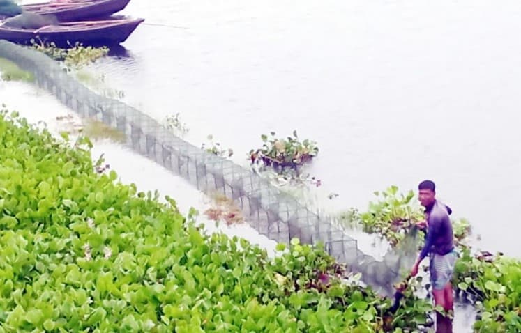 নিষিদ্ধ চায়না জালে হচ্ছে অবাধে মাছ শিকার; বিলুপ্ত হচ্ছে দেশীয় মাছ