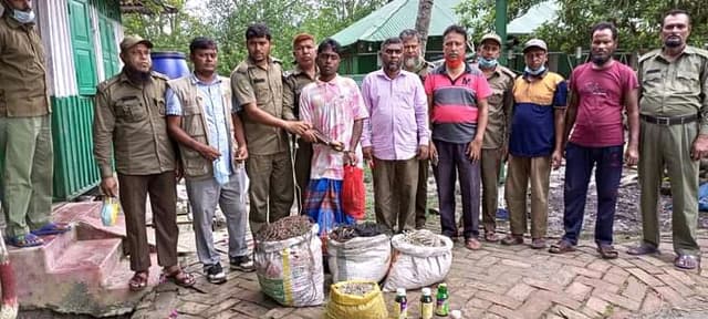 সুন্দরবনে হরিণ শিকারের ফাঁদ,জালসহ আটক