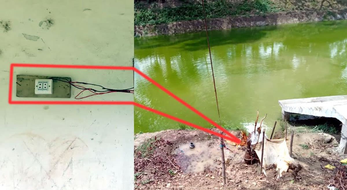 ঝিনাইদহে স্কুলের বিদ্যুৎ দিয়ে চলে পুকুরের মাছ চাষ!