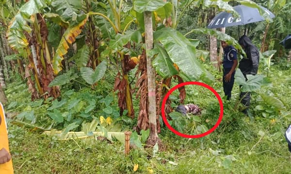 রাজাপুরে বাগানে পড়েছিল যুবকের রক্তাক্ত মরদেহ