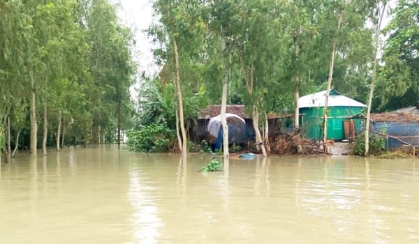 বিপদসীমার উপরে যমুনা ও ঝিনাইয়ের পানি, ভাঙন অব্যাহত