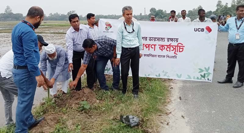 ধামইরহাটে পরিবেশের ভারসাম্য রক্ষায় ইউসিবি ব্যাংকের বৃক্ষরোপন