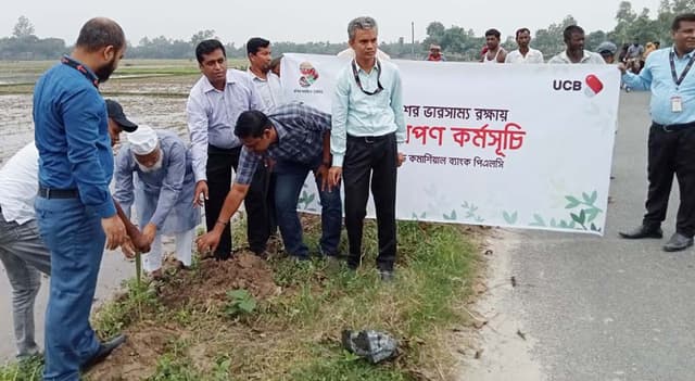 ধামইরহাটে পরিবেশের ভারসাম্য রক্ষায় ইউসিবি ব্যাংকের বৃক্ষরোপন
