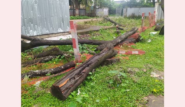কলাপাড়ায় এসিল্যান্ডসহ ৫ জনের বিরুদ্ধে মামলা