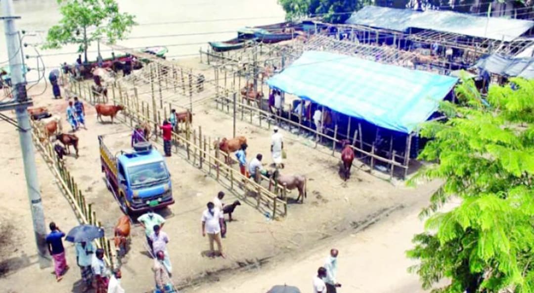 বরিশালের গরুর হাটে করোনার প্রভাব